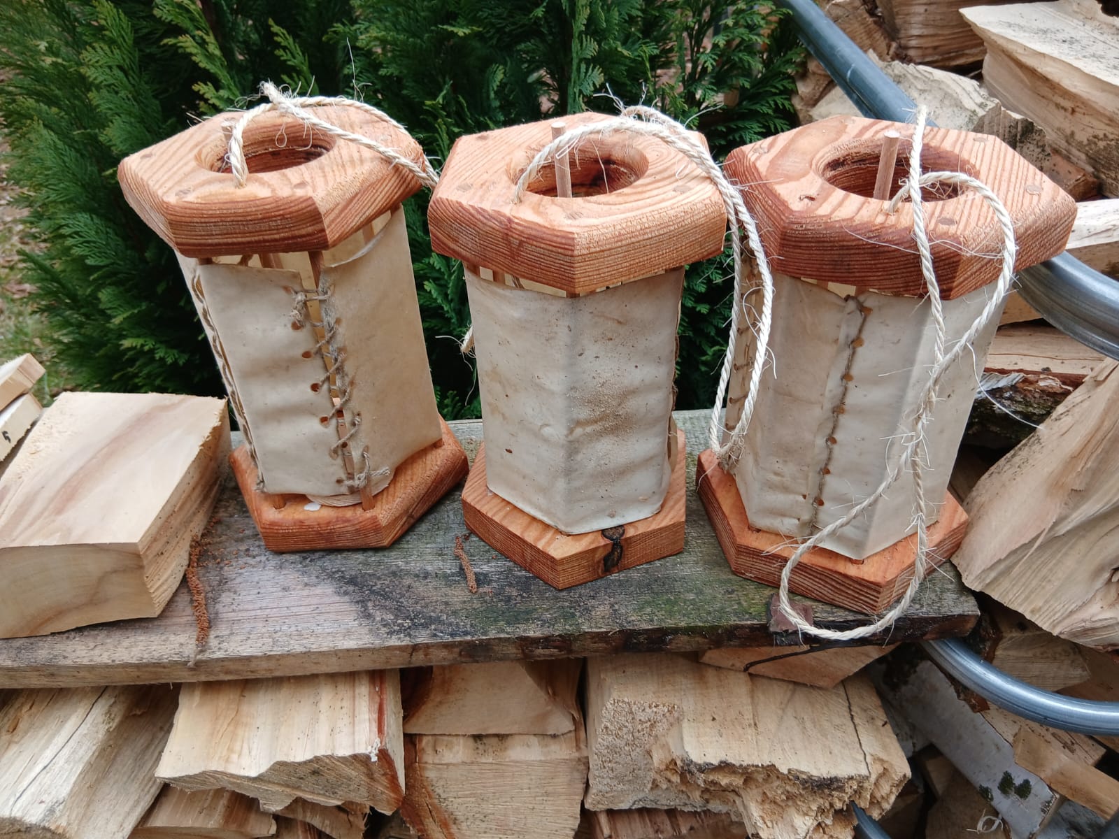 Pergamentlaterne/Rohhautlaterne 6 Eckig/Lärche