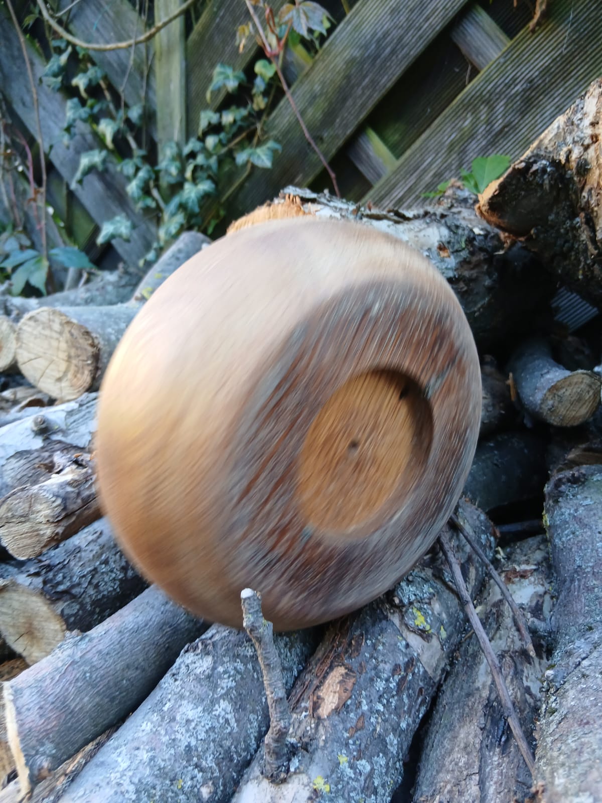 Obstschale Eiche – Bild 2